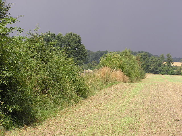 Knickschutz in Kisdorf